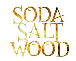 logo for the Soda Salt Wood Show, 2014